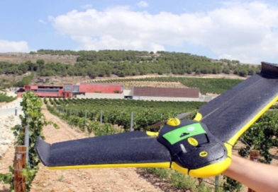 “Big data”, drones y mariquitas al servicio del vino