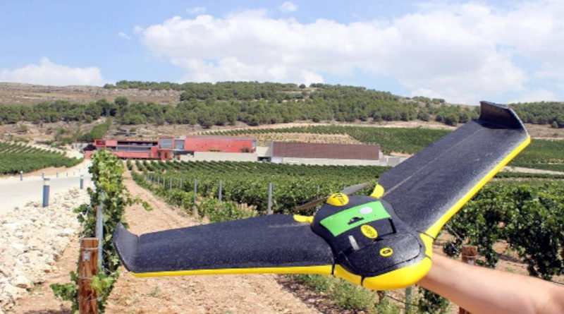 “Big data”, drones y mariquitas al servicio del vino